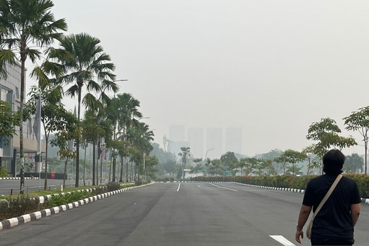 BMKG Hang Nadim Batam Peringatkan Sebaran Asap Karhutla di Seluruh Kepri, Hujan Diprakirakan Guyur 7 Kabupaten Kota