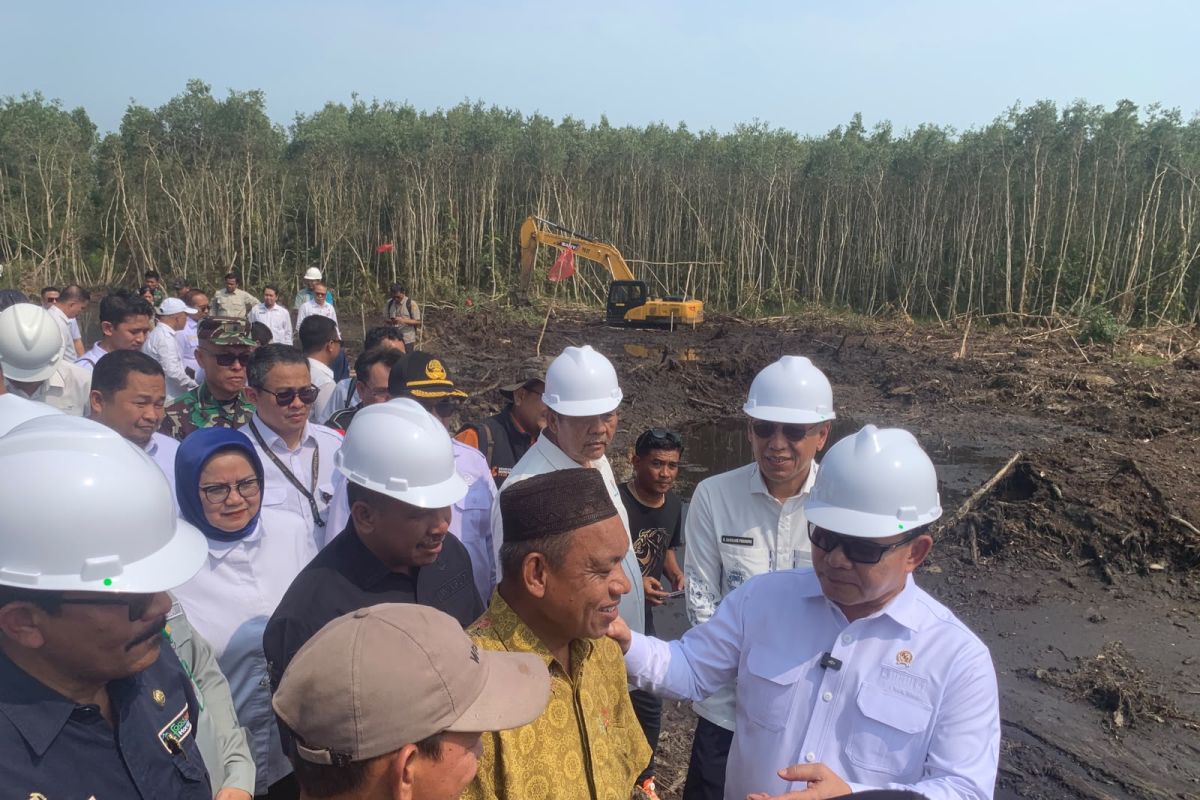 KSP Dudung Abdurachman Minta 13.000 Hektare Lahan Cetak Sawah di Sumsel Tidak Dialihfungsikan, Petani Diminta Tetap Tanam Padi