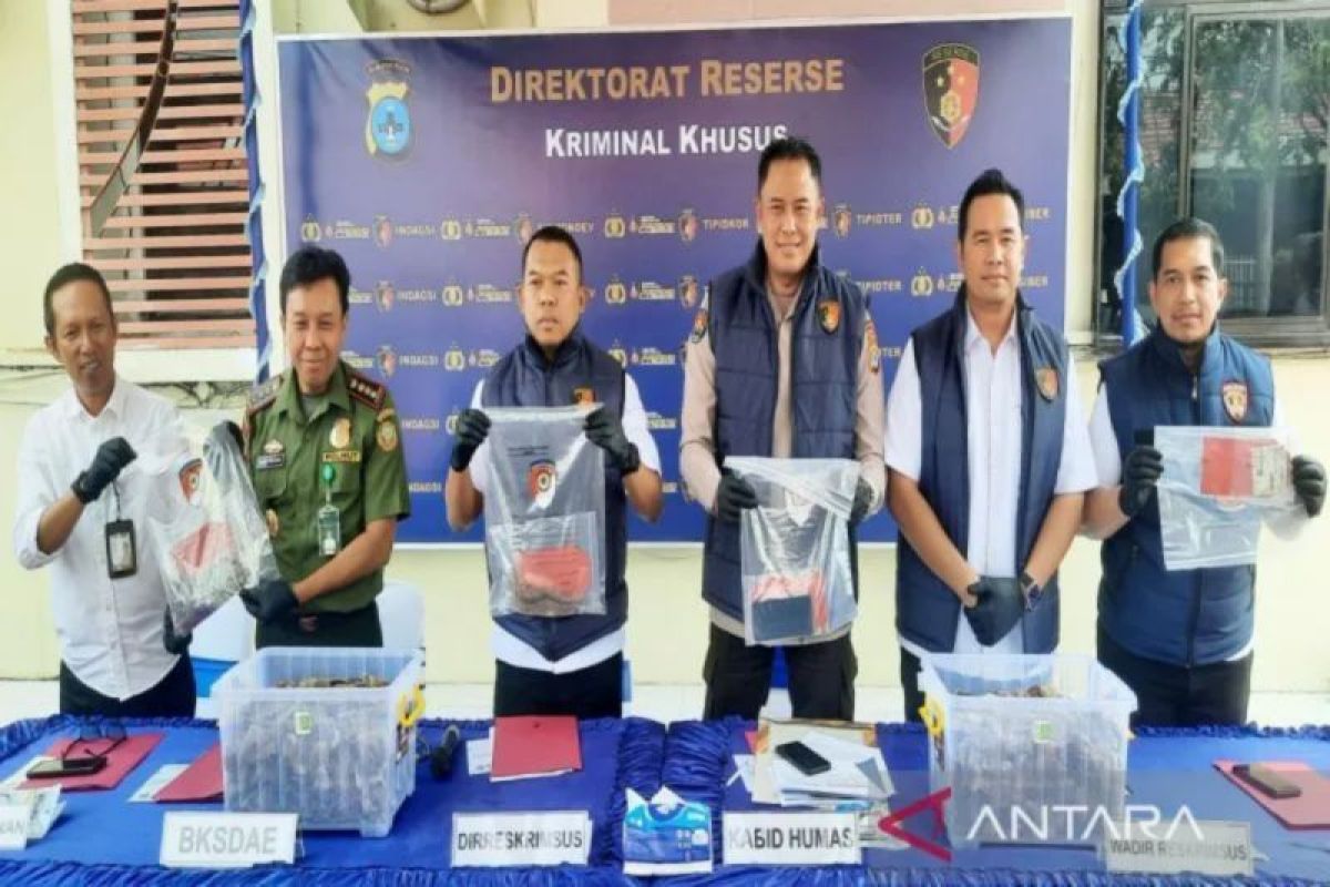 5 Peristiwa Polhukam Kalsel: Penyelundupan Sisik Trenggiling Digagalkan hingga Penghargaan Kemenkum untuk HSU