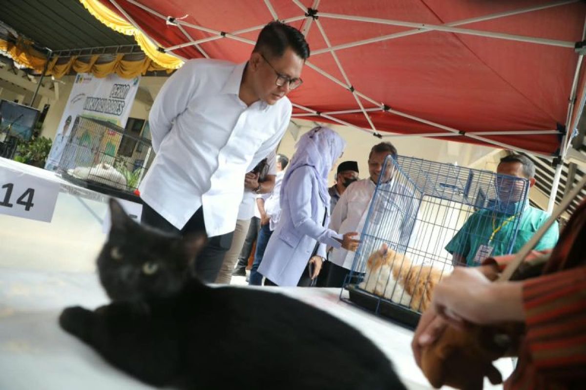 Pemkab Sleman Gelar Vaksinasi Rabies Gratis, 340 Pemilik Hewan Daftar Daring