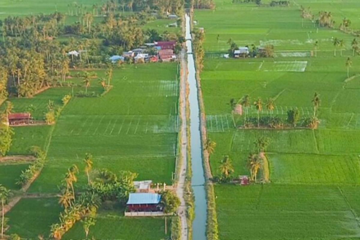 BWS Saddang dan Pemkab Sidrap Rehabilitasi 8.945 Hektare Irigasi, Saluran 50 Tahun Tak Tersentuh Mulai Diperbaiki