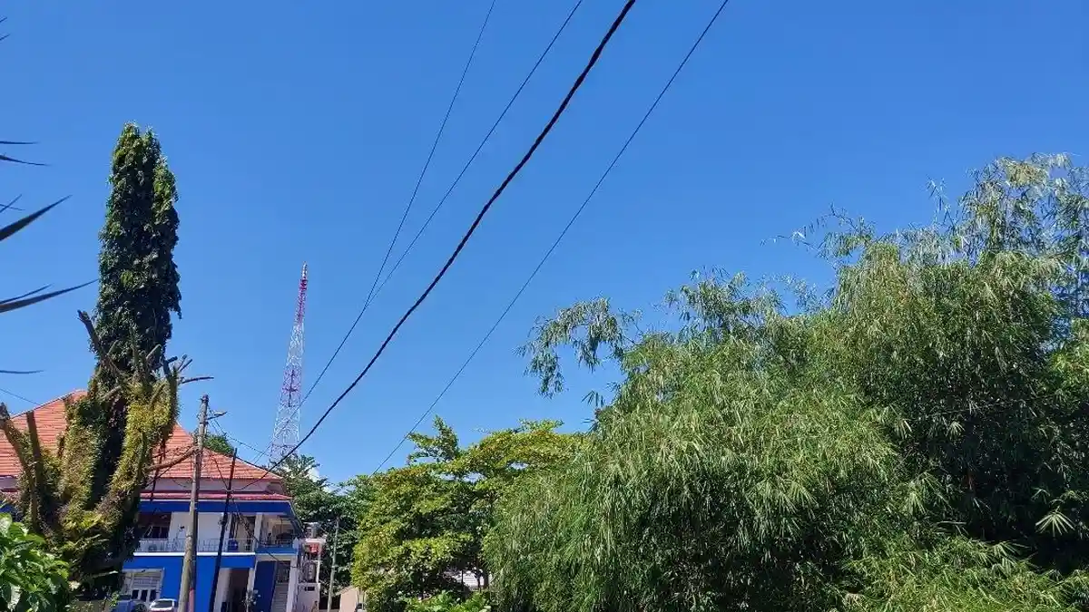 BMKG Keluarkan Peringatan Dini Hujan Sedang-Lebat 3 Hari di Bengkulu, 11 Kabupaten Kota Masuk Daftar