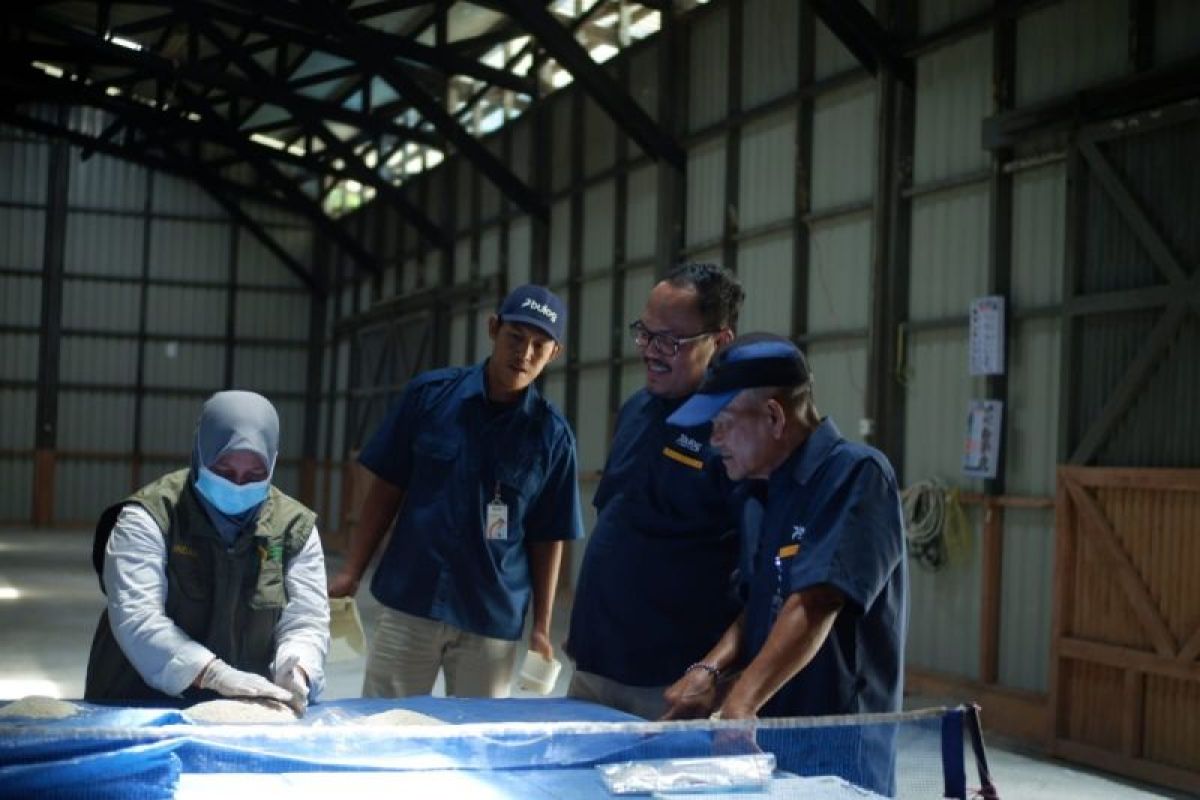 Pemkab Natuna Periksa Mutu 73 Ton Beras Bantuan Pangan Bapanas, 9.054 Keluarga Bakal Terima 30 Kg