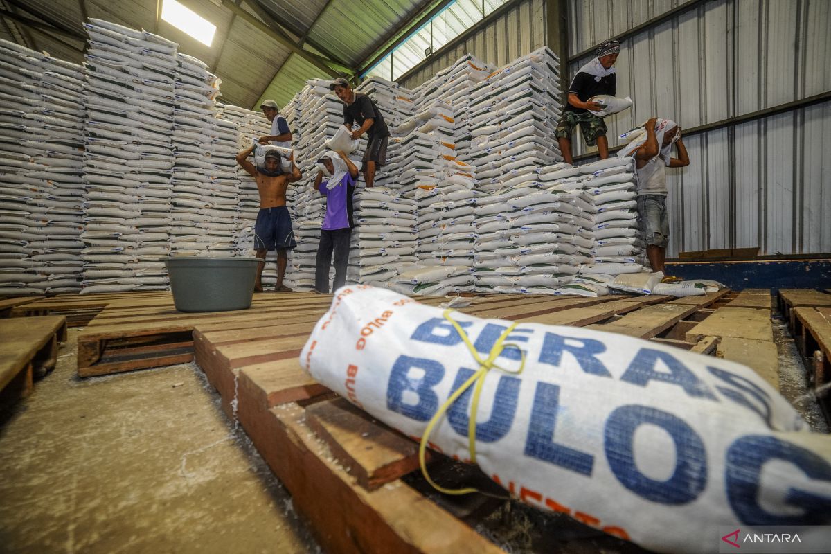 Stok Beras Bulog di Lebak dan Pandeglang Capai 25.000 Ton, Bapanas Salurkan Bantuan Pangan hingga Desember 2026