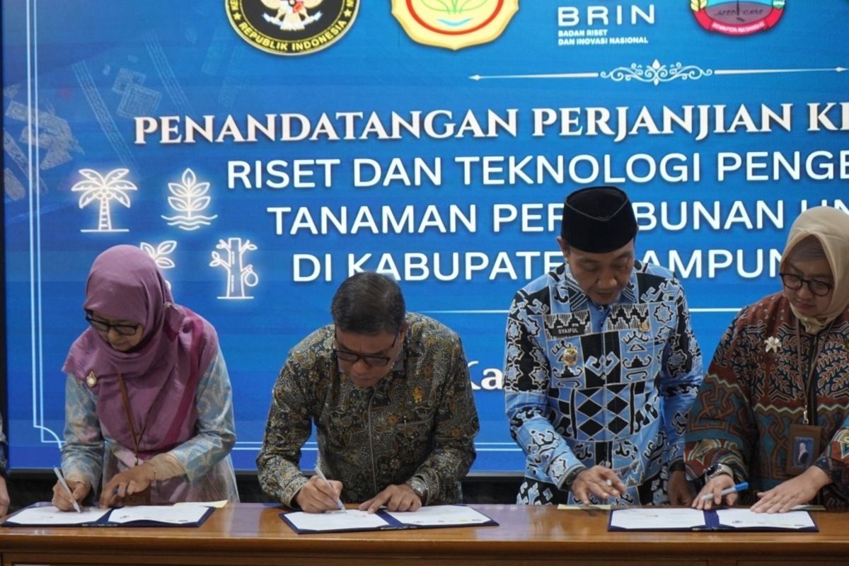 PTPN I Jadi Pusat Riset Bibit Unggul Perkebunan Nasional di Lampung Selatan, Kelapa Hibrida hingga Kopi Prioritas Dikembangkan