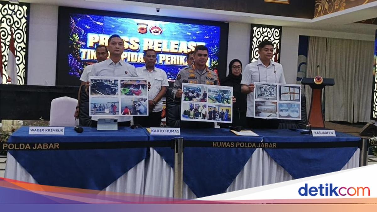 Polda Jabar Bekuk 4 Tersangka Penyelundupan 4.000 Benih Lobster Ilegal di Pangandaran, Negara Rugi Rp 10 Miliar