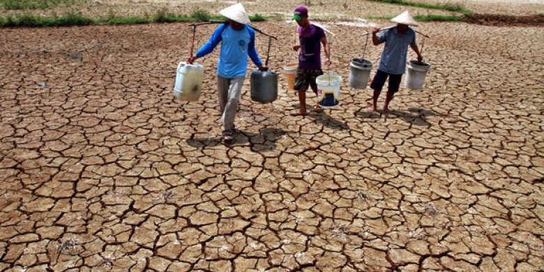 Puncak El Nino Kategori Kuat Mengintai Sumsel, BMKG: Kekeringan dan Karhutla Berpotensi Meluas Hingga September 2026