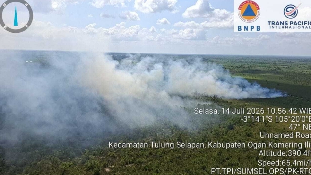 Karhutla Sumsel Meluas, 4 Daerah Zona Oranye dan 5 Zona Merah hingga Pertengahan Juli 2026
