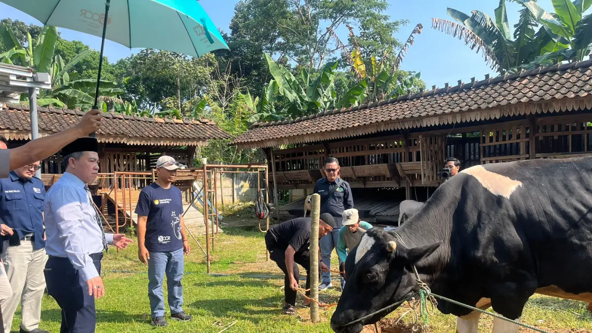 Salurkan Ratusan Paket Kurban ke Warga Gunungpati Semarang, SCCR Indonesia Perkuat Tradisi Berbagi Keberkahan