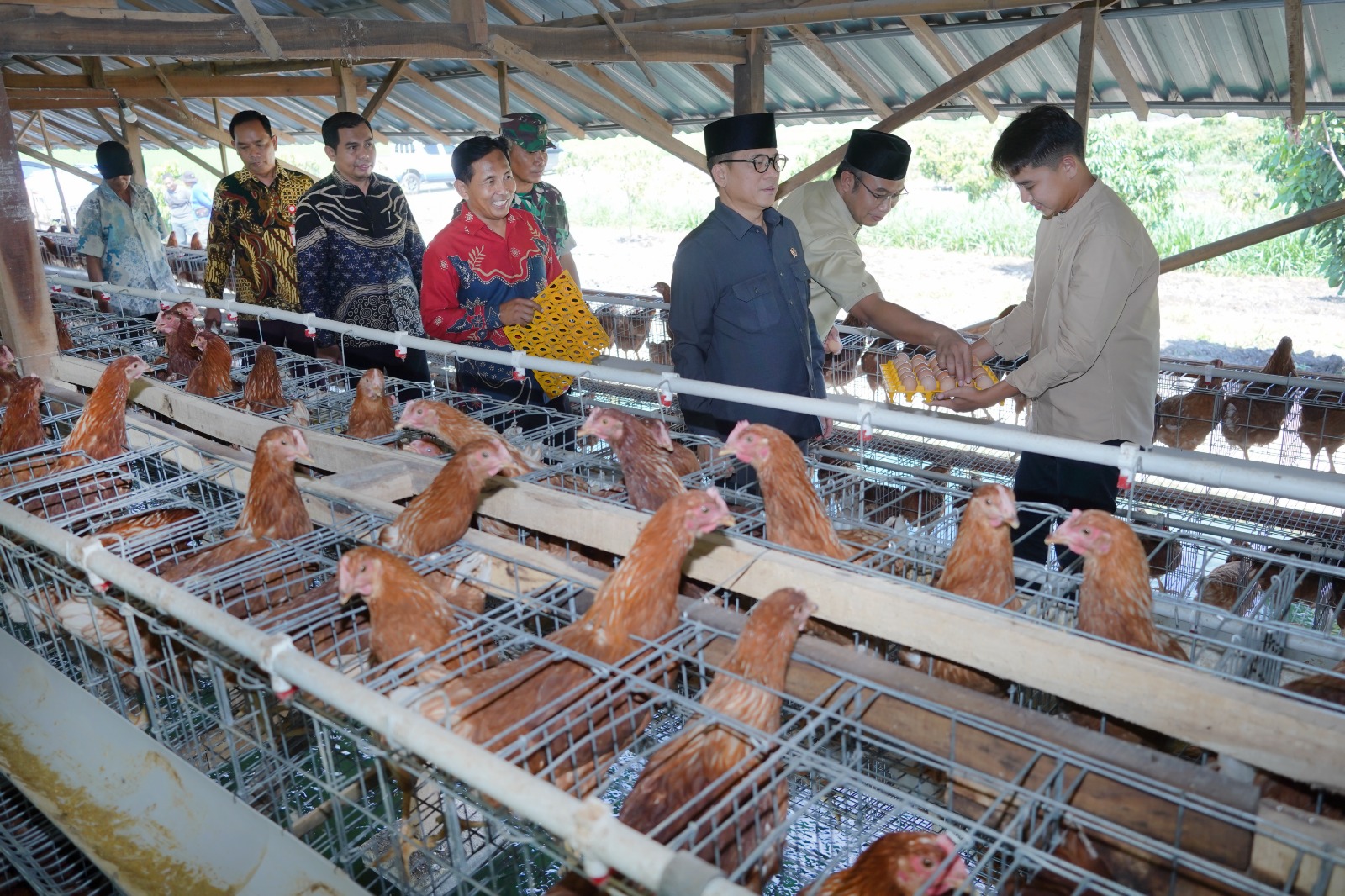 Harga Telur Ayam di Sragen Anjlok ke Rp19.000/Kg, Peternak Menjerit Sementara UMKM Sumringah