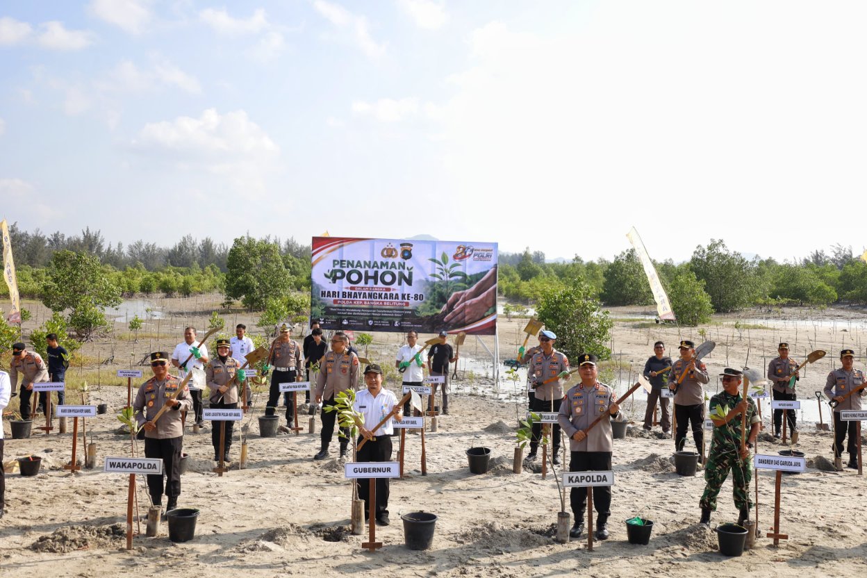 Polda Babel Tanam 3.000 Bibit Mangrove dan Cemara di Lahan Bekas Tambang Pantai Rebo Bangka