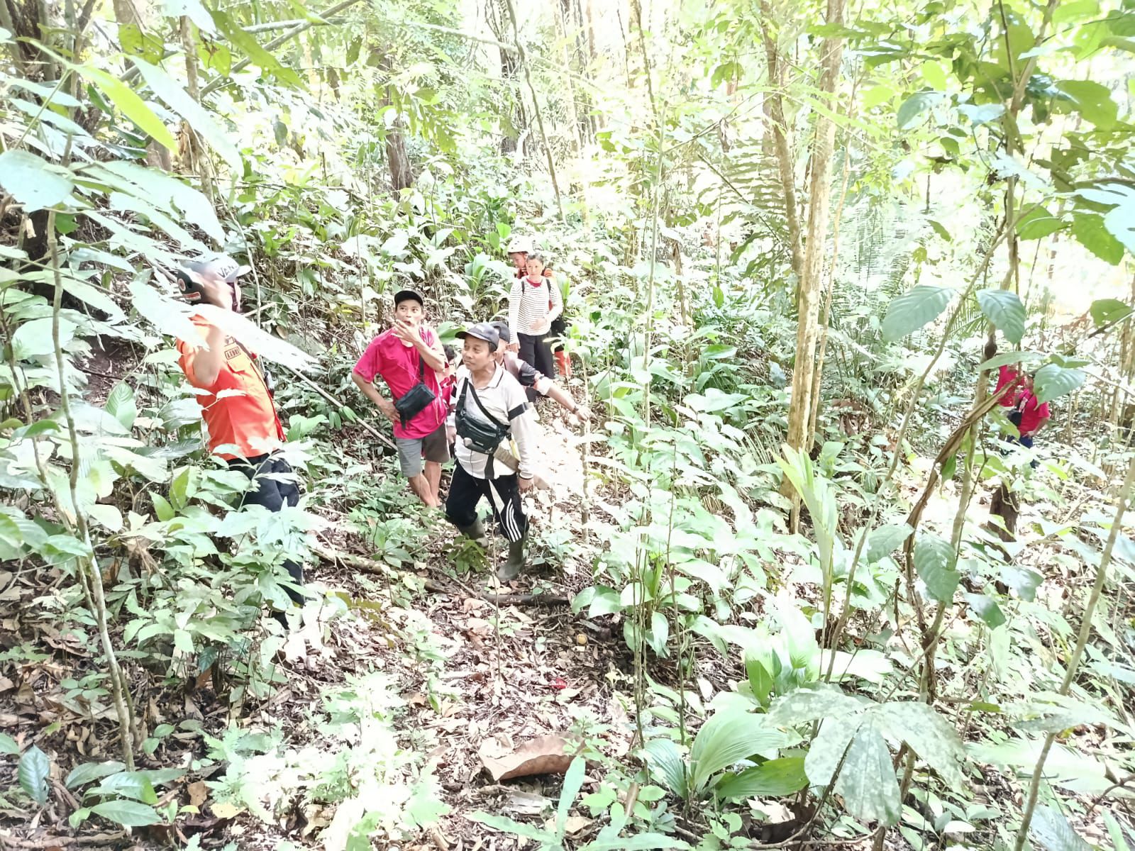 Lansia 79 Tahun Dinyatakan Hilang di Perkebunan Karet Sanggau, Tim SAR Gabungan Perluas Area Pencarian