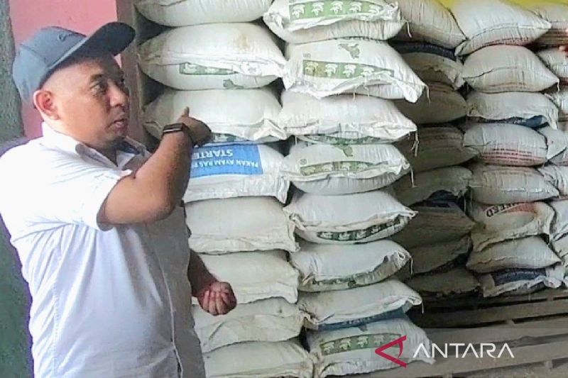 Bulog Kotim Sewa Tiga Gudang Baru Demi Serap Gabah Petani, Target 16.000 Ton GKP Tahun Ini