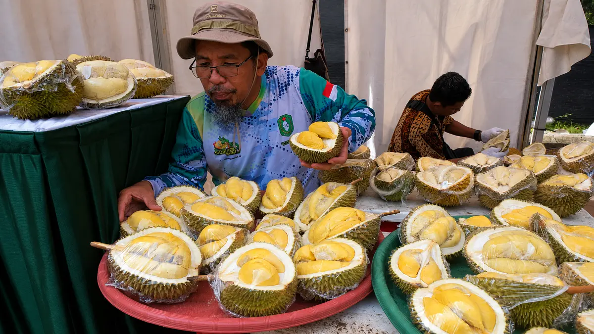 10 Varietas Durian Unggul Kalimantan Barat Siap Tembus Pasar Ekspor, dari Serumbut hingga Raja Mabah