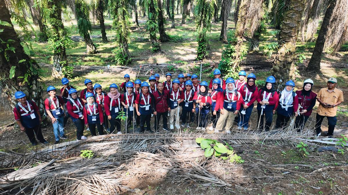 90 Pekebun Bengkulu Selatan Turun ke Kebun Sawit, Belajar Bandingkan Teori dengan Praktik Langsung