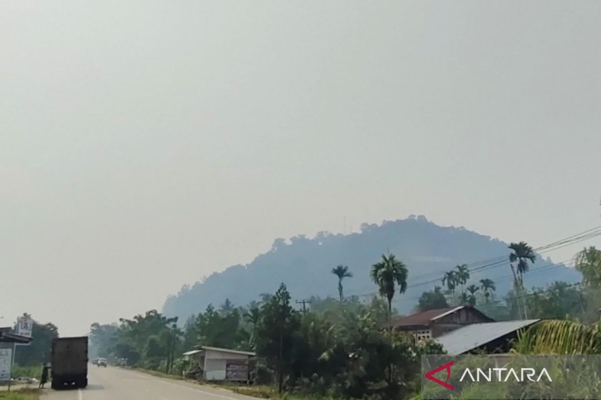 Kabut Asap Kiriman dari Riau hingga Sumsel Selimuti Dharmasraya, Kualitas Udara Masuk Kategori Tidak Sehat