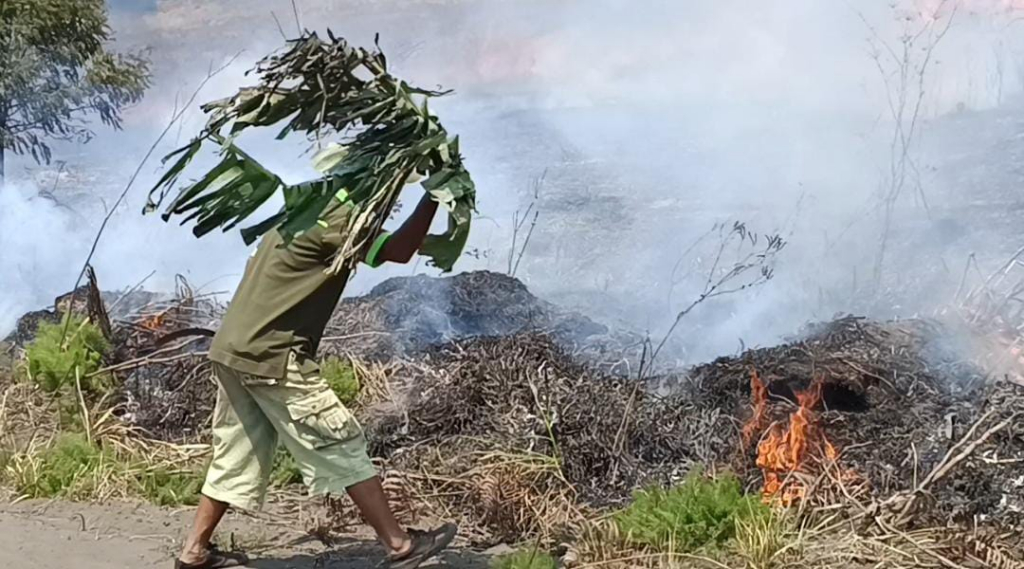 Karhutla Sumsel Makin Meluas, 11 Kabupaten/Kota Zona Merah, OKI Catat 132 Kejadian Terbanyak