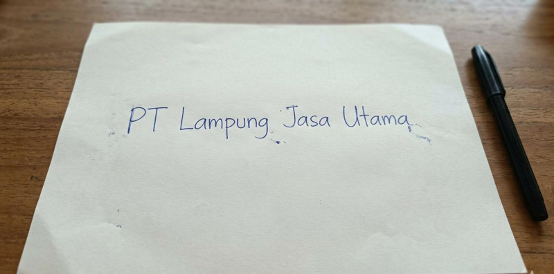 BPK Soroti Proses Pemilihan Komisaris PT Lampung Jasa Utama, Tak Ada Seleksi dan Risalah Rapat