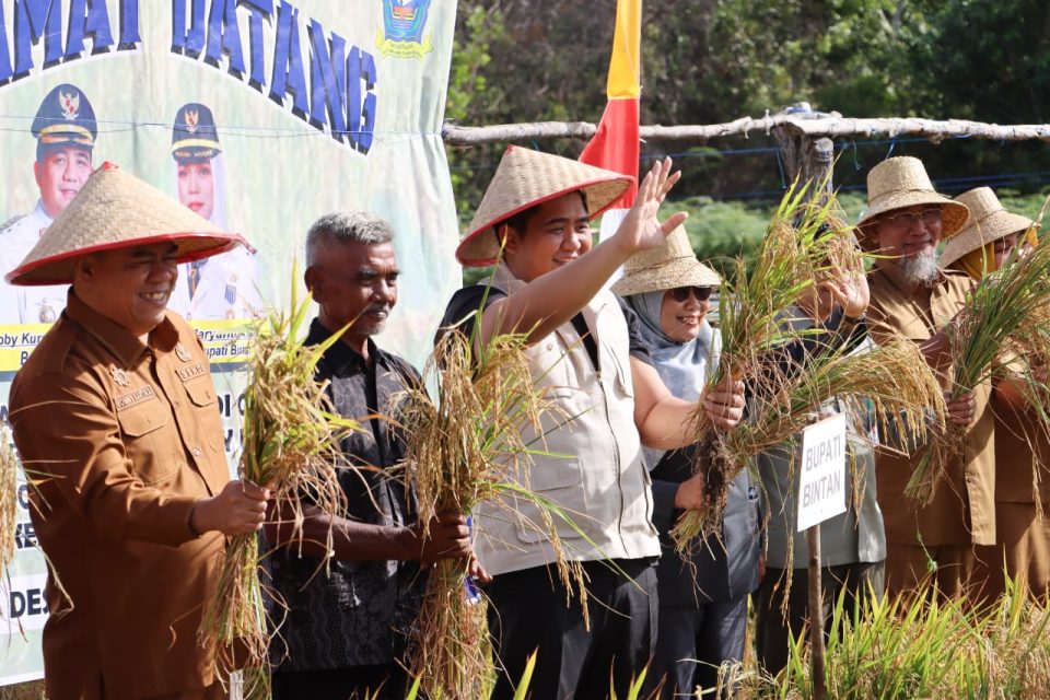 Pemprov Kepri Genjot Lahan Cabai dan Padi, Target Kurangi 95 Persen Ketergantungan Beras dari Luar Daerah