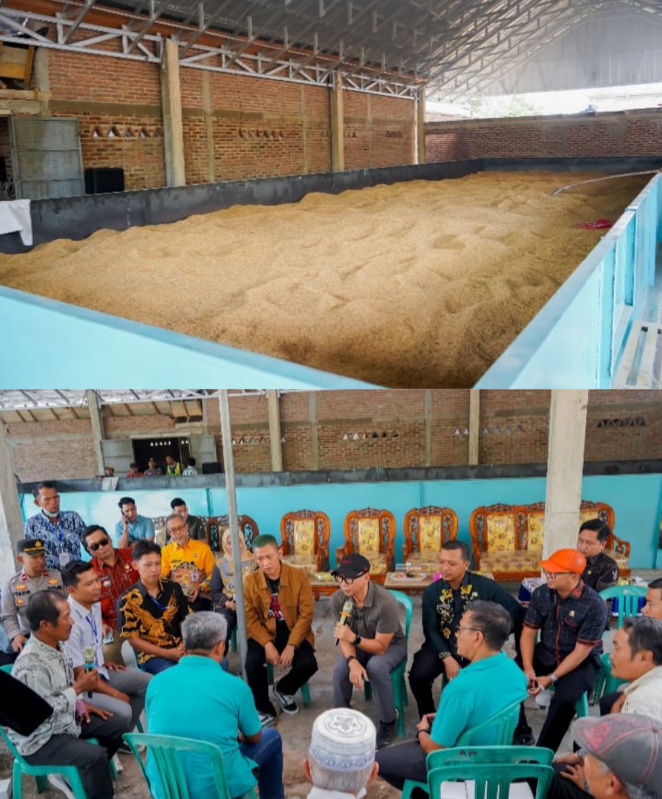 Gubernur Lampung Tinjau Bed Dryer di Pringsewu, Pengeringan Gabah Petani Dipangkas dari 15 Hari Jadi 12 Jam