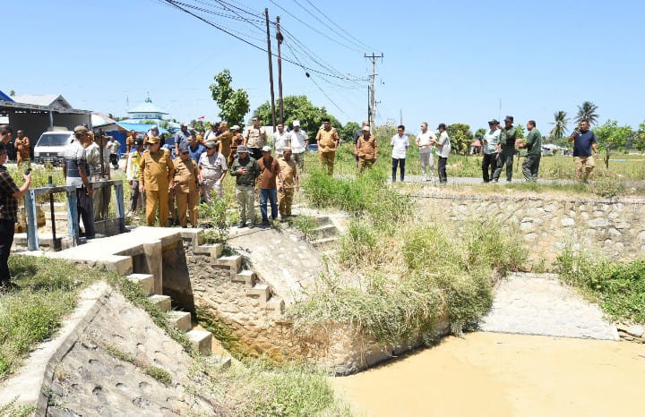 16 Titik Irigasi Air Tanah Dibangun di Buntulia untuk Selamatkan Lahan Sawah Seluas 1.000 Hektare
