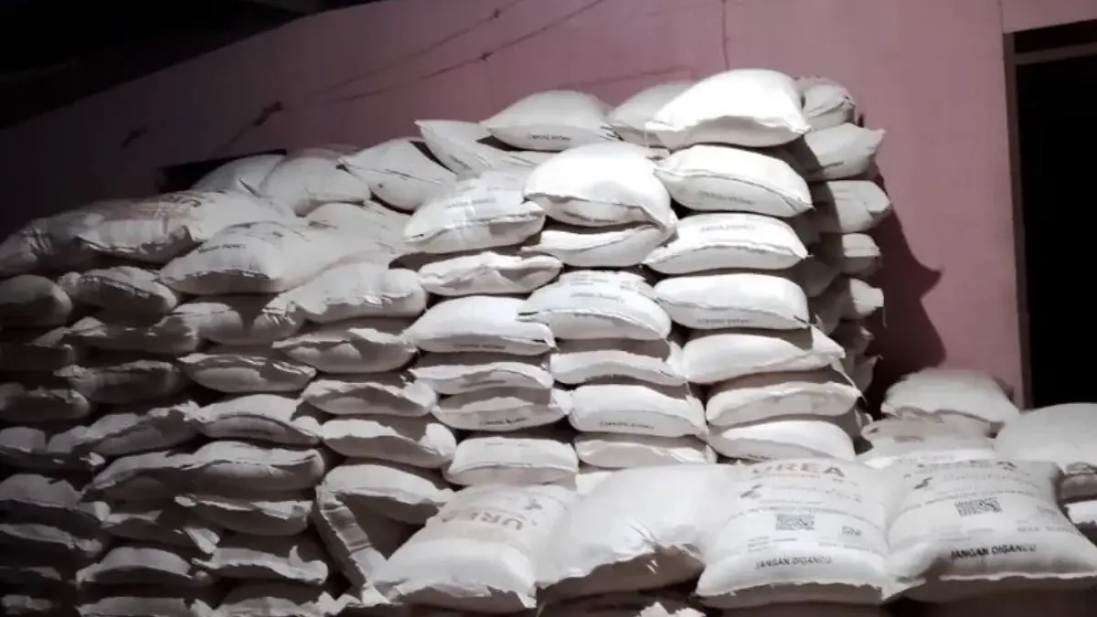 Pemprov Gorontalo Pastikan Pasokan Pupuk untuk Petani Taluditi Aman, Stok di Gudang Masih Mencukupi