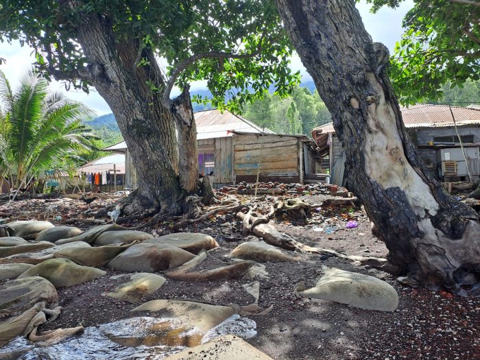 Abrasi Pantai di Rua Ternate Makin Parah, 11 Rumah dan Satu Musala Terancam, Warga Desak Gubernur Sherly Turun Tangan