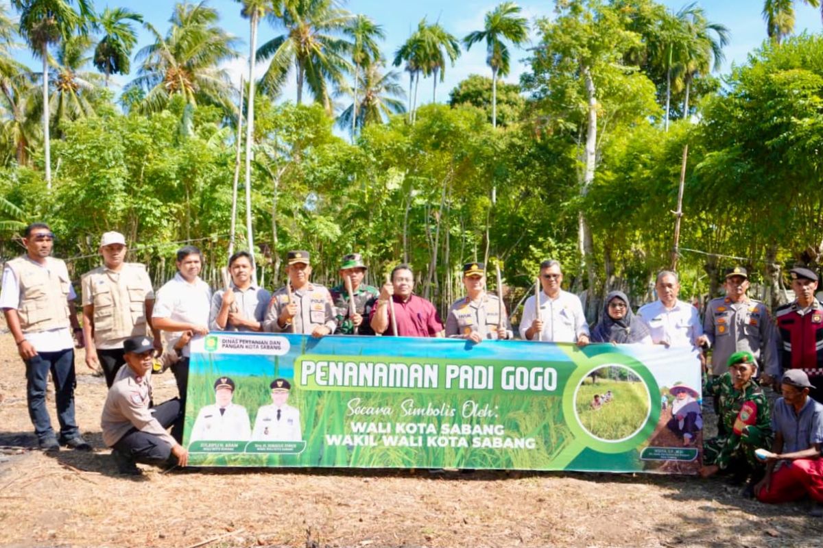 Pemko Sabang Tanam Perdana Padi Gogo di Lahan Kosong Cot Mancang, Target 40 Hektare untuk Ketahanan Pangan