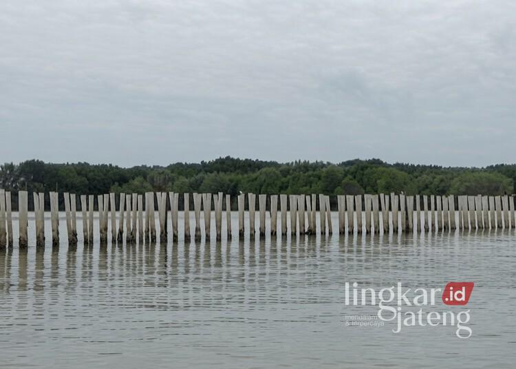 Proyek Hybrid Sea Wall Demak Segera Dibangun 900 Meter di Sayung, Butuh Rp250 Miliar untuk 8 Km