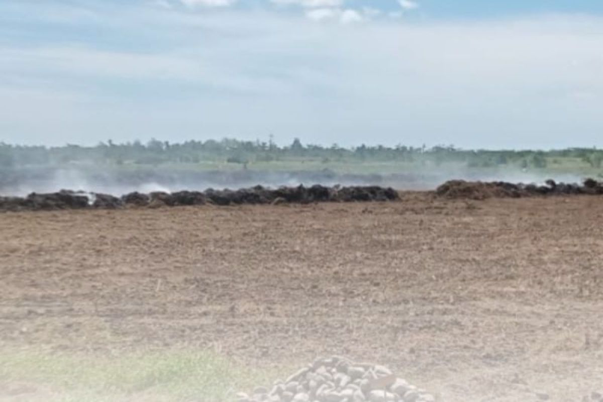 BBRMP Maluku Pantau Tiga Program Strategis Pertanian di Maluku Tengah, Target Cetak Sawah 91 Hektare dan Optimalisasi 900 Hektare