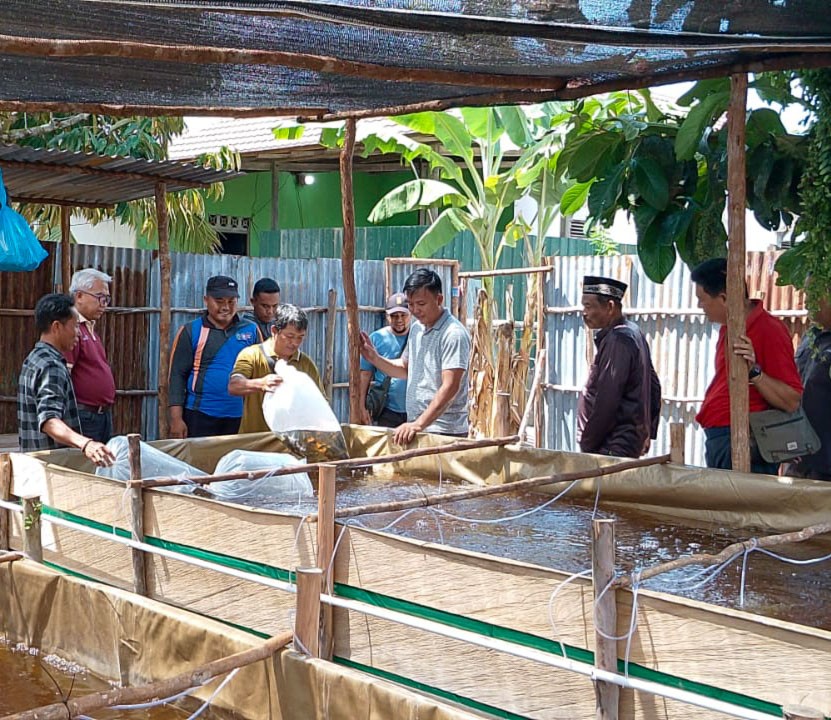 PT Mentaya Sawit Mas Bantu Kelompok Warga Desa Pahirangan Kembangkan Budidaya Ikan Nila, Target Panen 6 Bulan