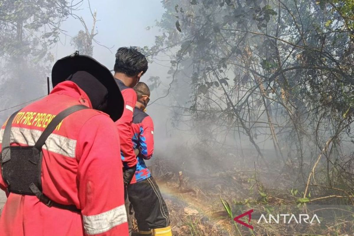 5.266 Titik Panas Terdeteksi di Konsesi Perusahaan Kaltim, Walhi Minta Izin Bermasalah Dicabut