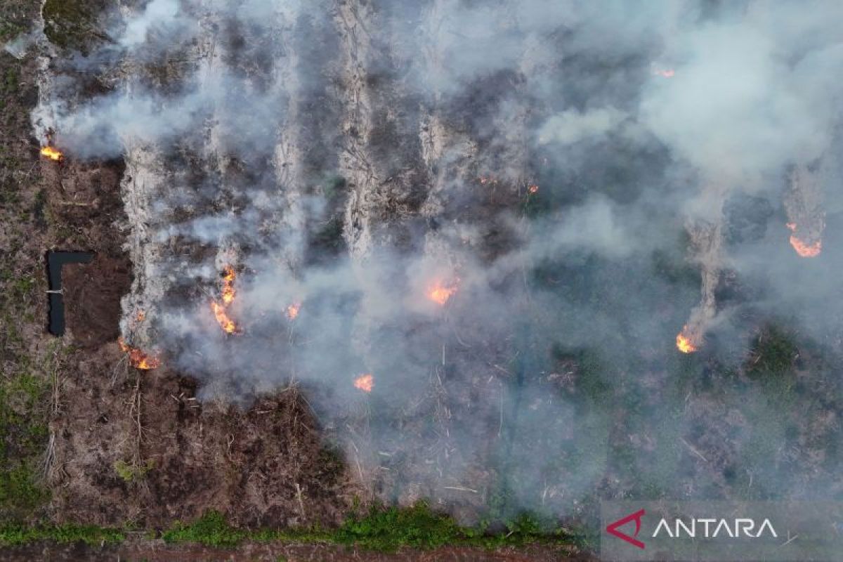 Karhutla di Aceh Barat Hanguskan 34,1 Hektare Lahan dalam Dua Pekan, Api Gambut Sulit Dipadamkan
