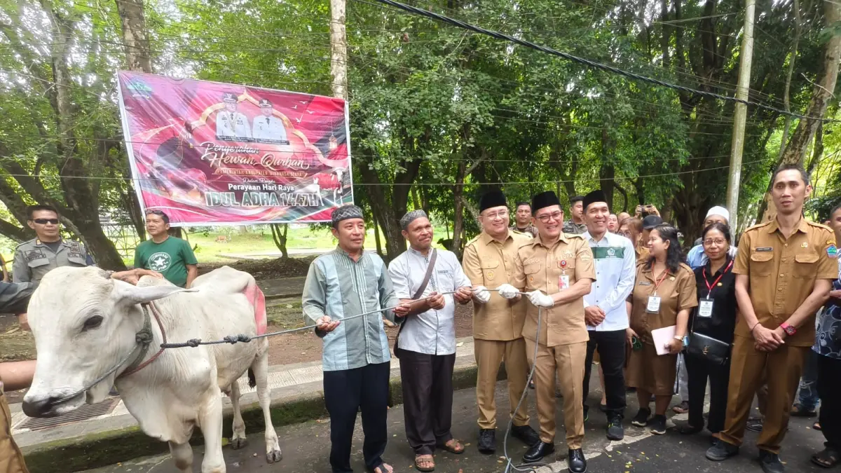 Iduladha 1447 H, Pemkab Minahasa Utara Salurkan Bantuan Hewan Kurban ke 9 Masjid