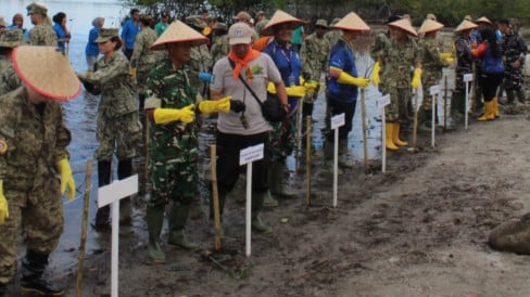 TNI AL dan US Navy Tanam 10 Ribu Mangrove di Tapanuli Tengah, Padukan Pelestarian Alam dengan Diplomasi Kemanusiaan