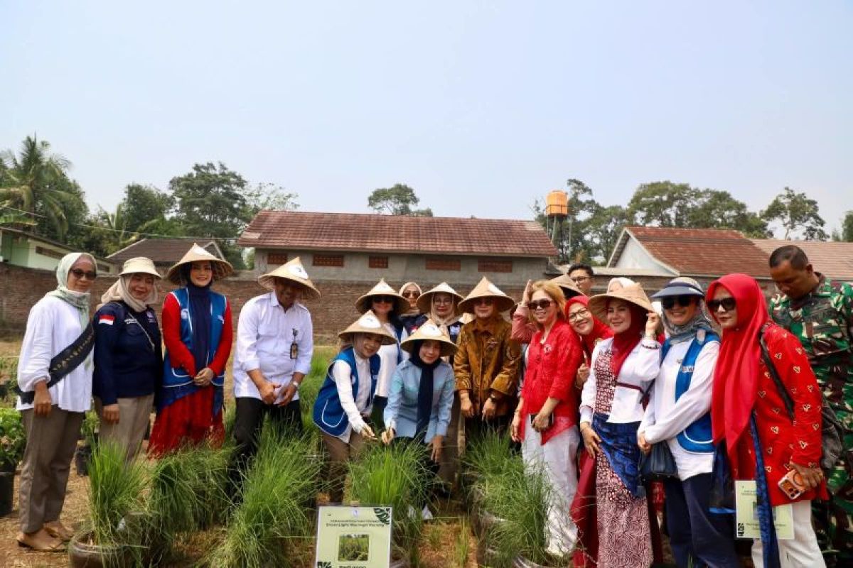 Kabupaten Serang Jadi Percontohan Nasional Kampung Hortikultura IWAPI, Targetkan Replikasi ke Seluruh Desa