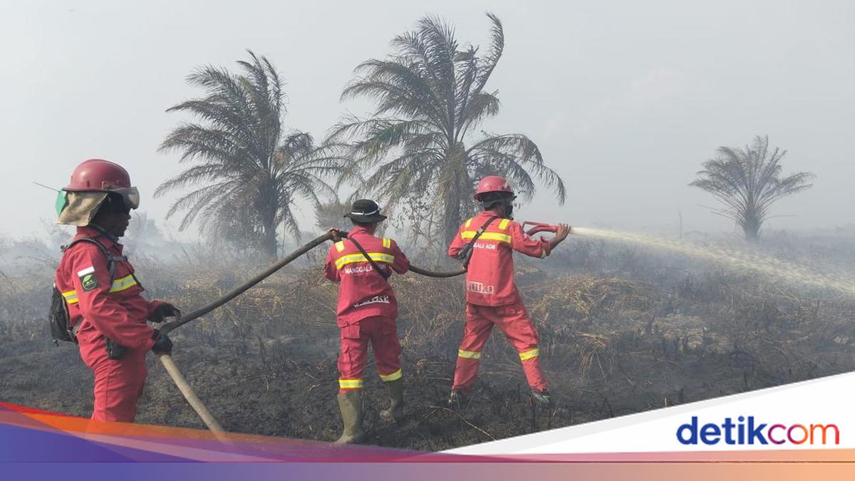 Kebakaran Lahan Gambut di Muaro Jambi Meluas, 0,2 Hektare Berhasil Dipadamkan