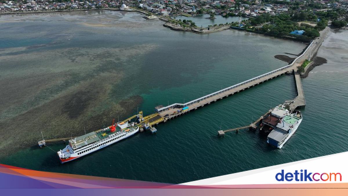Jadwal Baru Kapal Feri Bajoe-Kolaka Berlaku 8-31 Juli 2026, 4 Kapal Siaga dan 5 Lainnya Tak Beroperasi