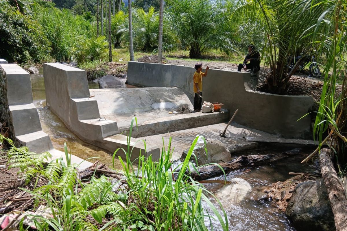 Pemkab Pasaman Barat Genjot Perbaikan Irigasi dan Dam Parit Rp 1,2 Miliar untuk 10 Kelompok Tani Terdampak Bencana