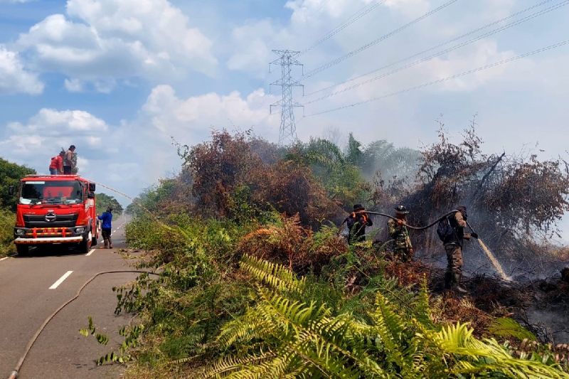 Bupati Kotim Tambah Personel Satgas Karhutla dari 78 Jadi 150 Orang, 203 Kejadian Hanguskan 373 Hektare Lahan
