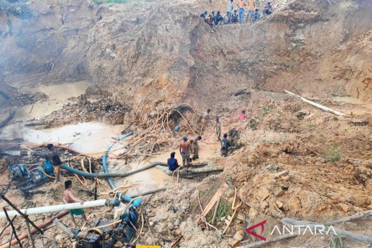 Tambang Emas Ilegal di Madina Rusak 79 Hektar Hutan, Kadar Merkuri Sungai 48 Kali Lipat Ambang Batas
