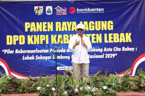 Wagub Banten Apresiasi KNPI Kabupaten Lebak Panen Jagung 4 Hektare, Hasilnya untuk Beasiswa dan Bantuan Sosial
