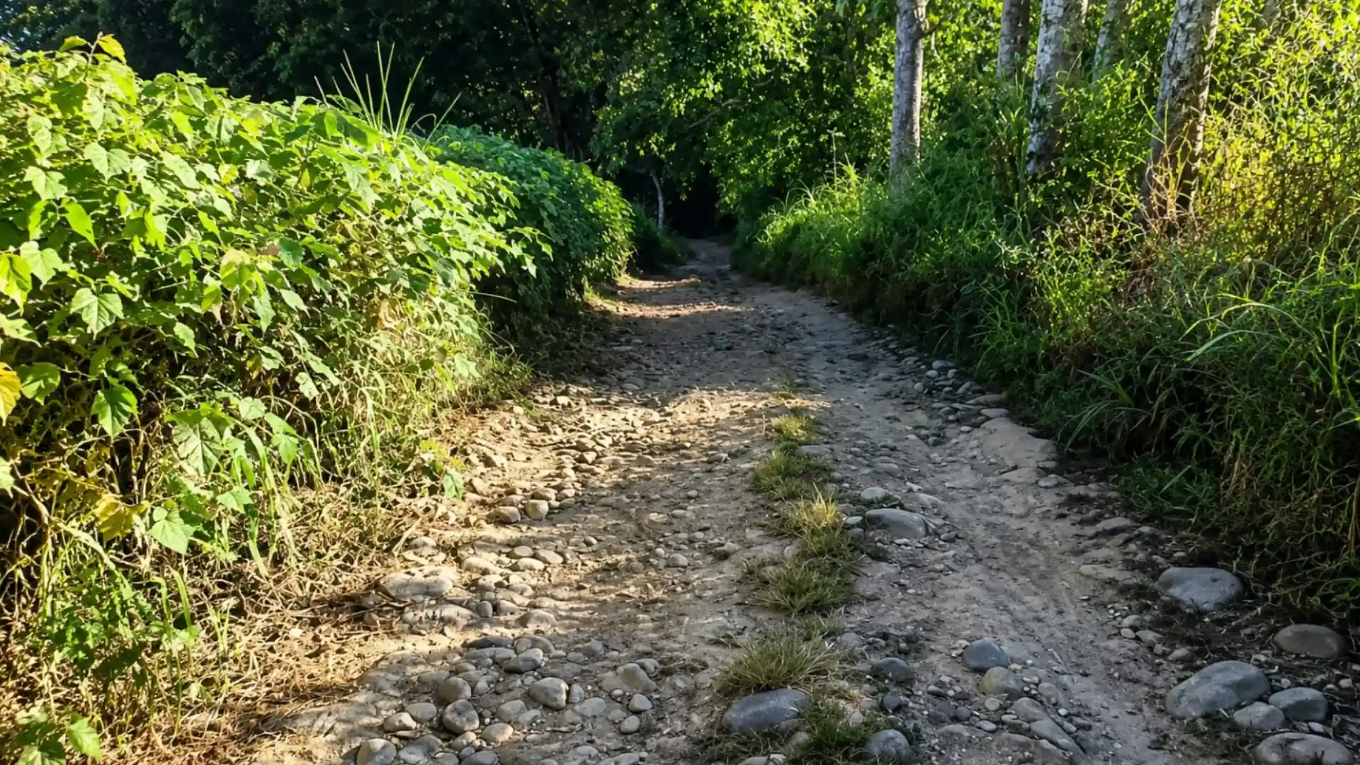 Populer Kedua Setelah Rinjani, Bukit Anak Dara di Lombok Timur Terkendala Jalan Rusak 3,5 Km dan Belum Ada Perbaikan Pemerintah