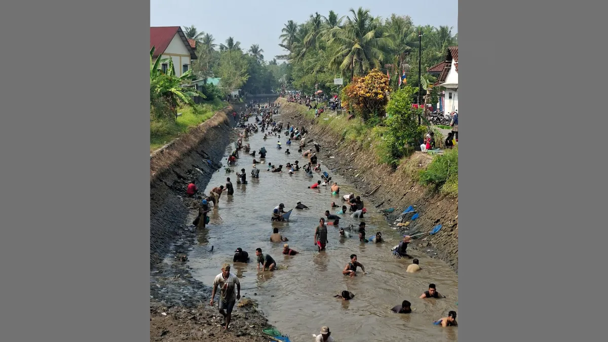Tradisi Gogoh Iwak di Purworejo Jadi Pesta Rakyat, Ratusan Warga Berebut Ikan di Sungai Irigasi Silekor