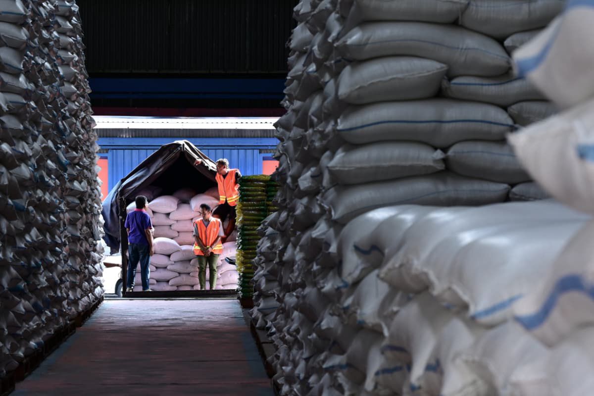 Indonesia Produsen Beras Tertinggi se-Asia Tenggara, Peringkat Keempat Dunia Versi FAO 2025