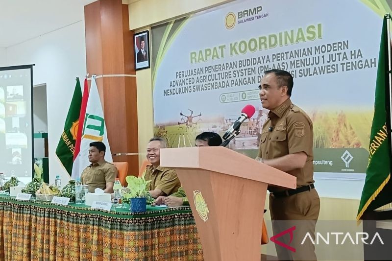 Pemprov Sulteng Targetkan Produksi Padi 6 Ton per Hektare, Cetak Sawah Baru 6.163 Hektare Berjalan