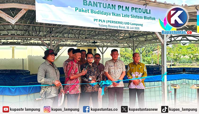 PLN Salurkan Bantuan Kolam Lele Bioflok ke Pokdakan di Tulang Bawang Barat, Targetkan Produksi Naik
