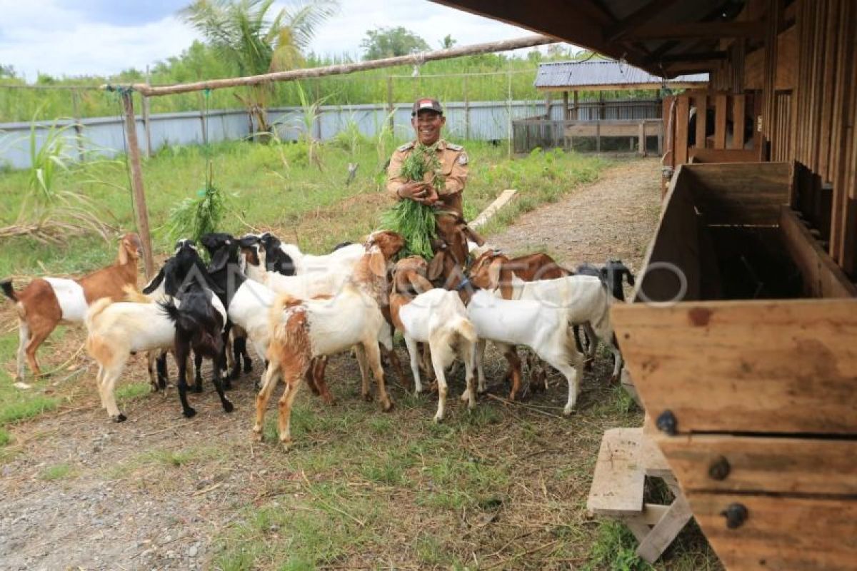 63 BUMDes di Aceh Masuk Kategori Maju, Aceh Utara Mendominasi dengan 14 Unit