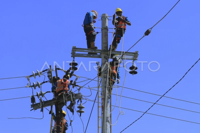 PLN Resmi Alirkan Listrik ke Dusun Oekese dan Taetimu di TTS, 4,59 Km Jaringan Tegangan Menengah Dibangun