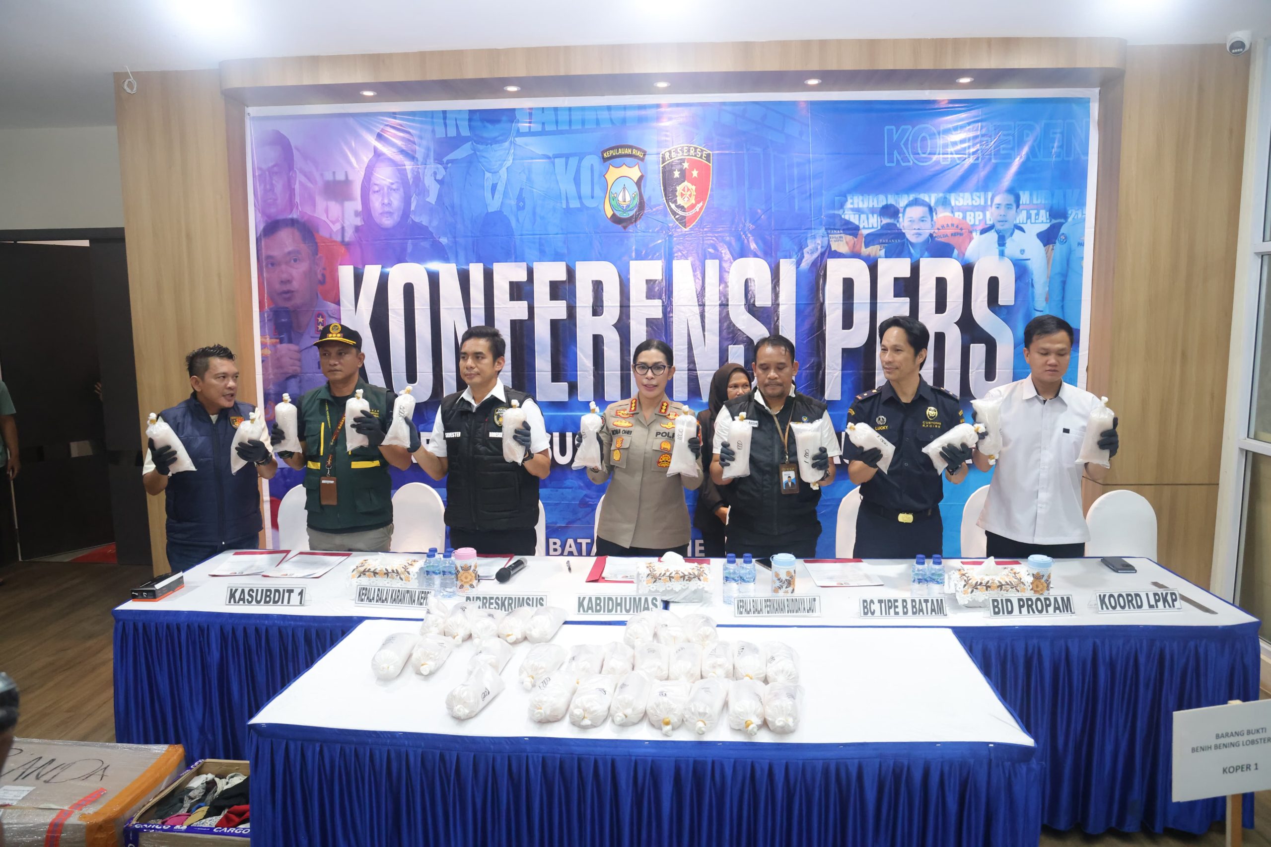 Polda Kepri Gagalkan Penyelundupan 100.000 Benih Bening Lobster ke Singapura, Dua Pelaku Diamankan di Batam